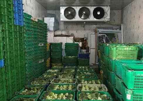 蘇州蔬菜氣調冷庫大概多少錢